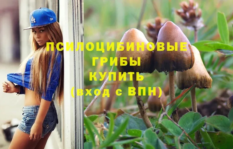 Псилоцибиновые грибы Cubensis  ссылка на мегу ссылка  Кубинка 